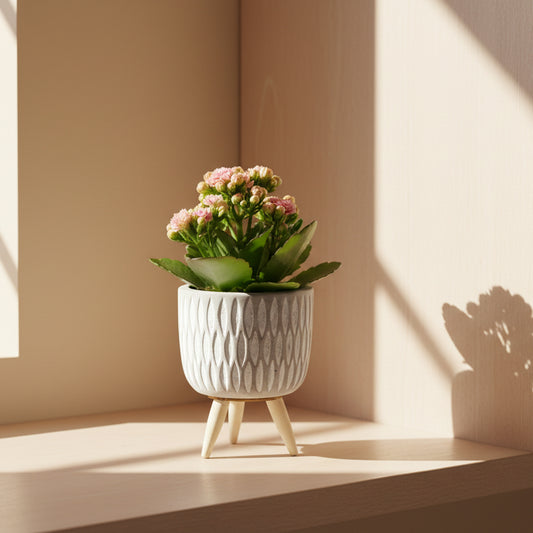 macetero-rombos-decorativo