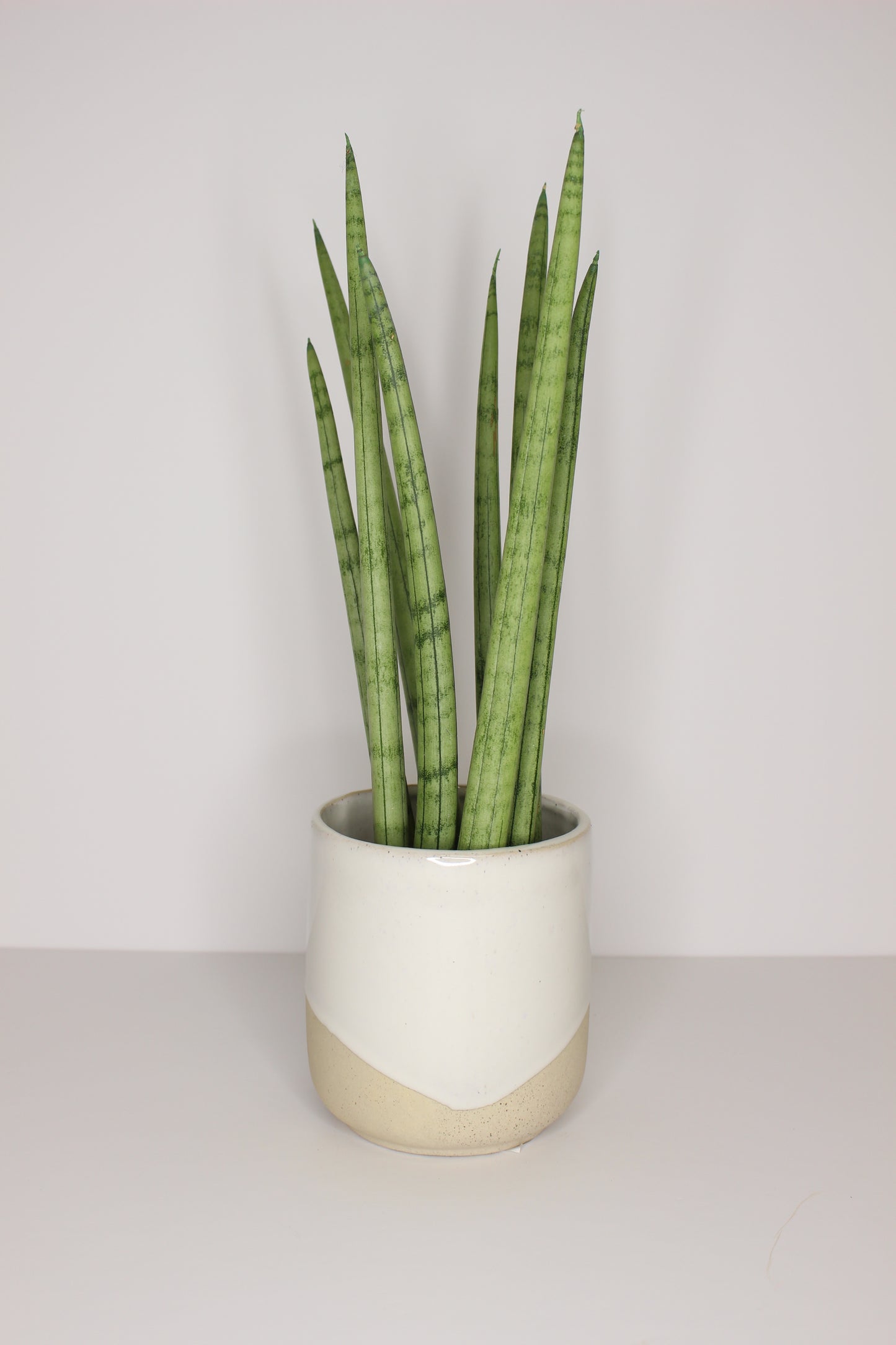 Macetero Porcelana Blanco