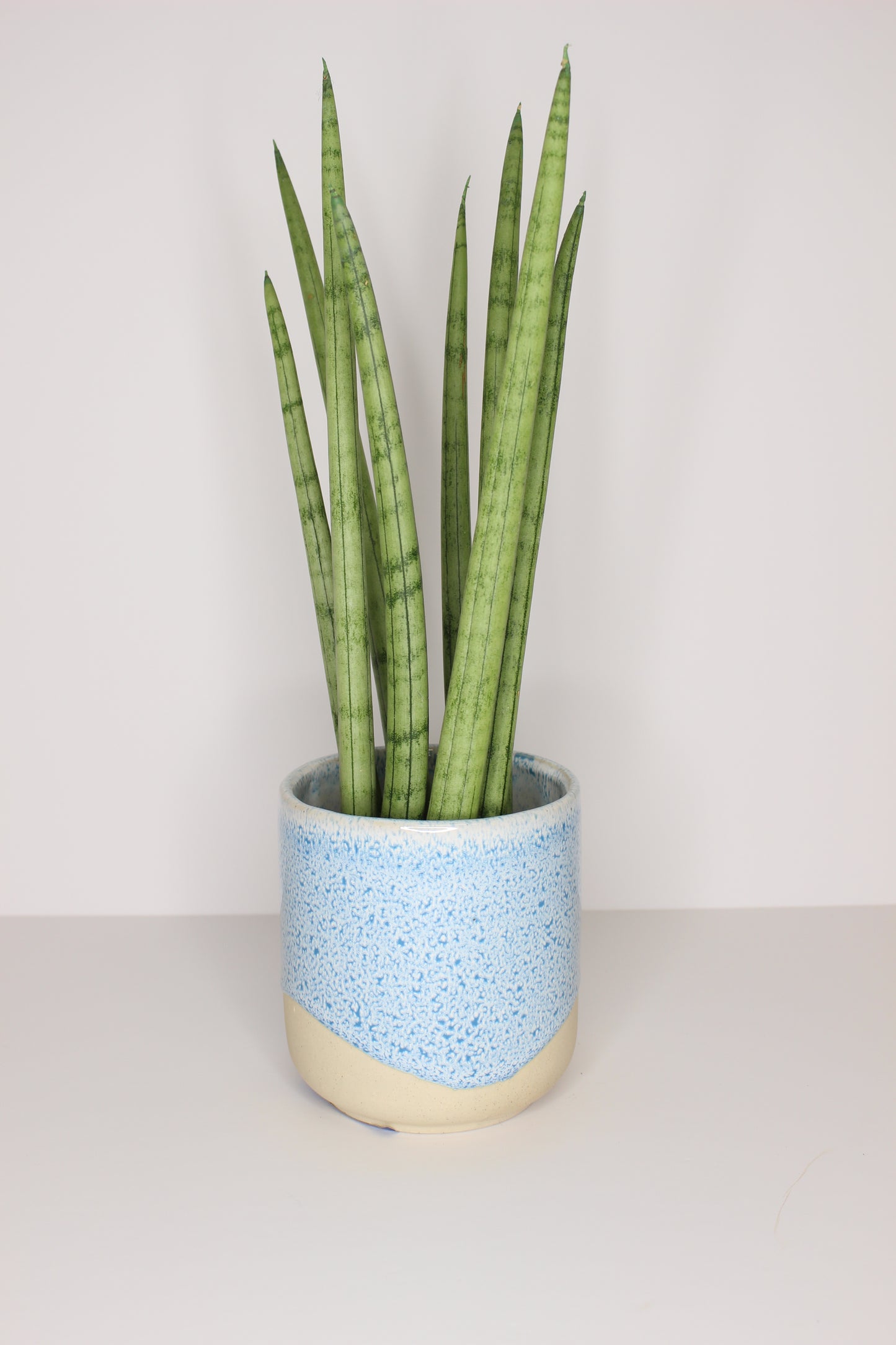 Macetero Porcelana Azul