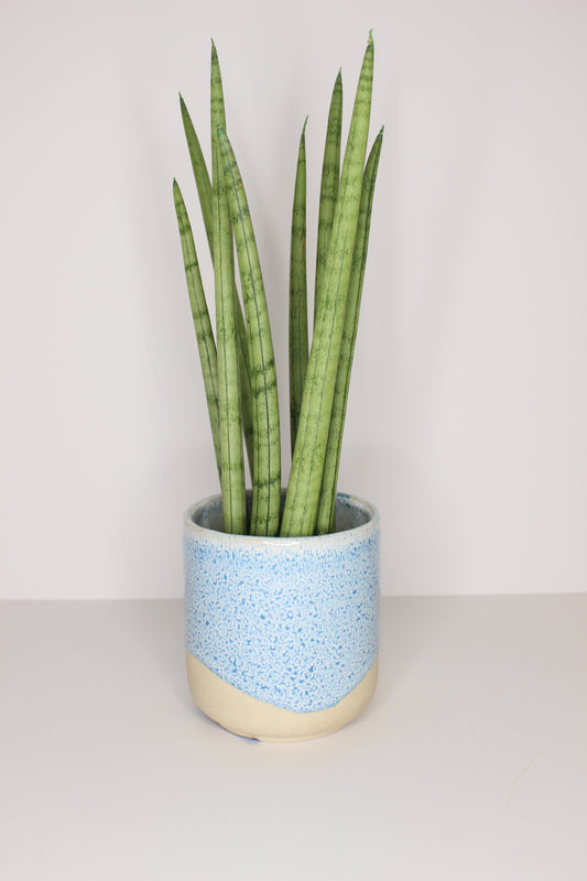 Macetero Porcelana Azul