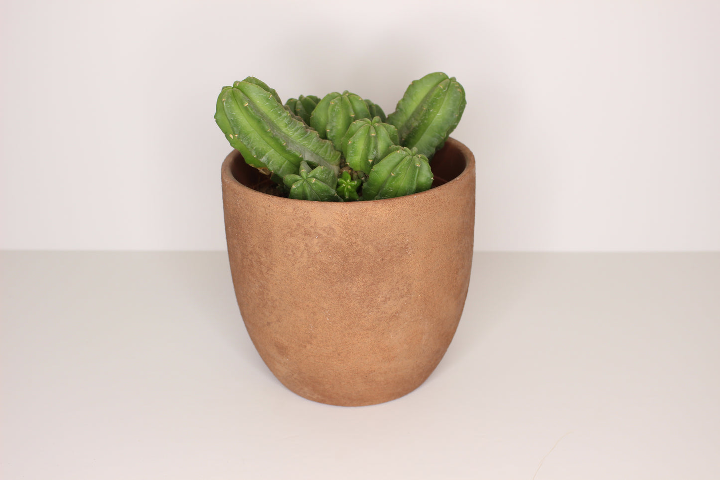 Maceta Terracota