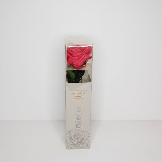 rosa-preservada-arreglo