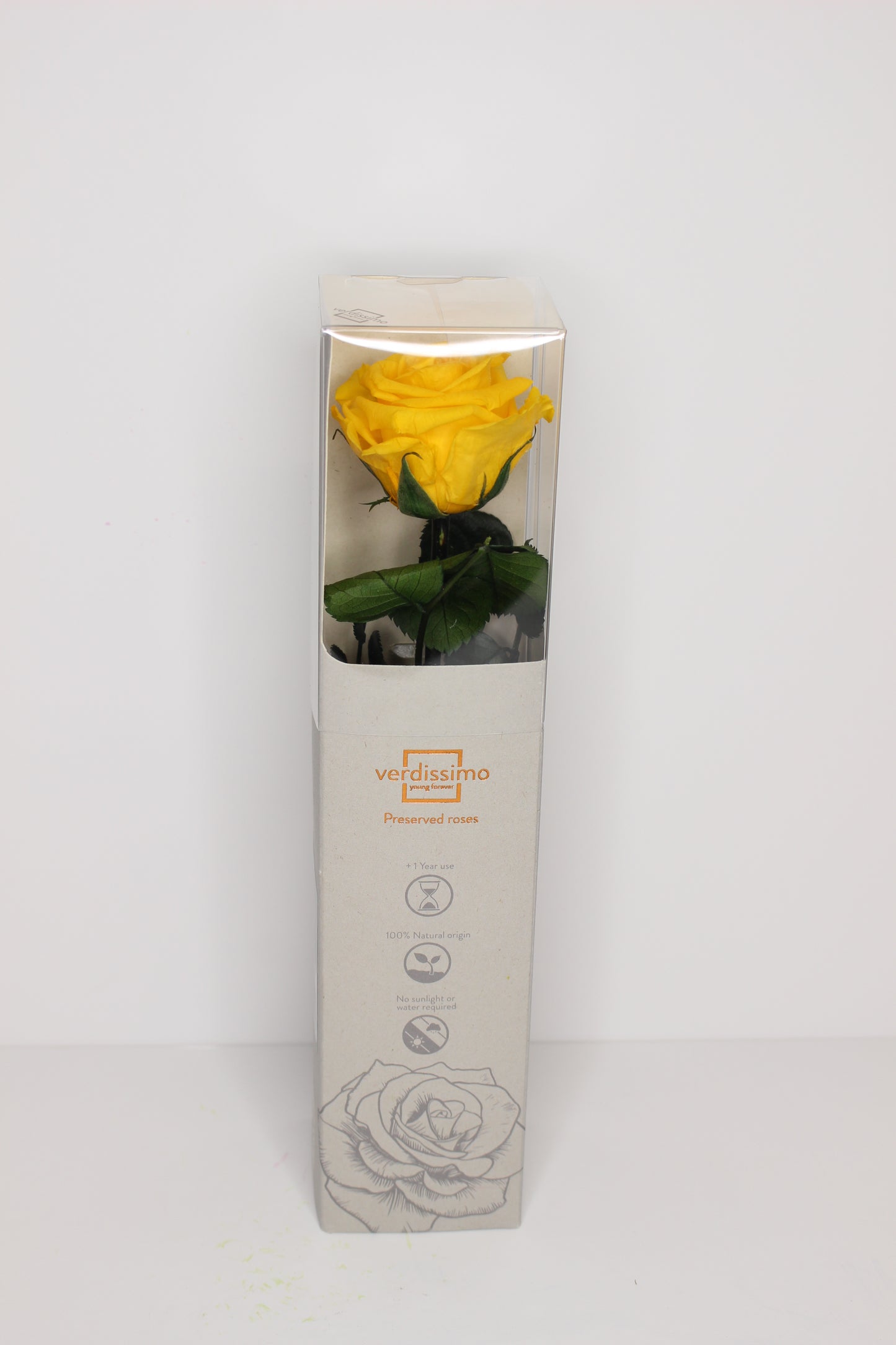 Rosas Preservadas S (Rosa Eterna)