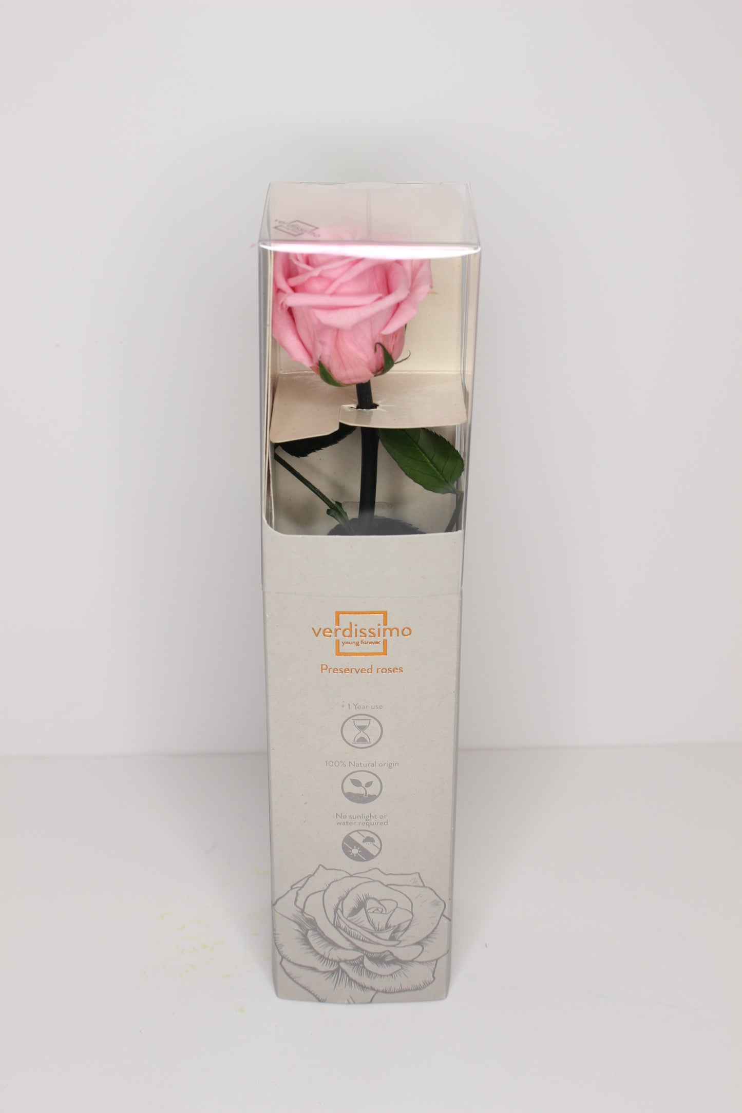 Rosas Preservadas S (Rosa Eterna)