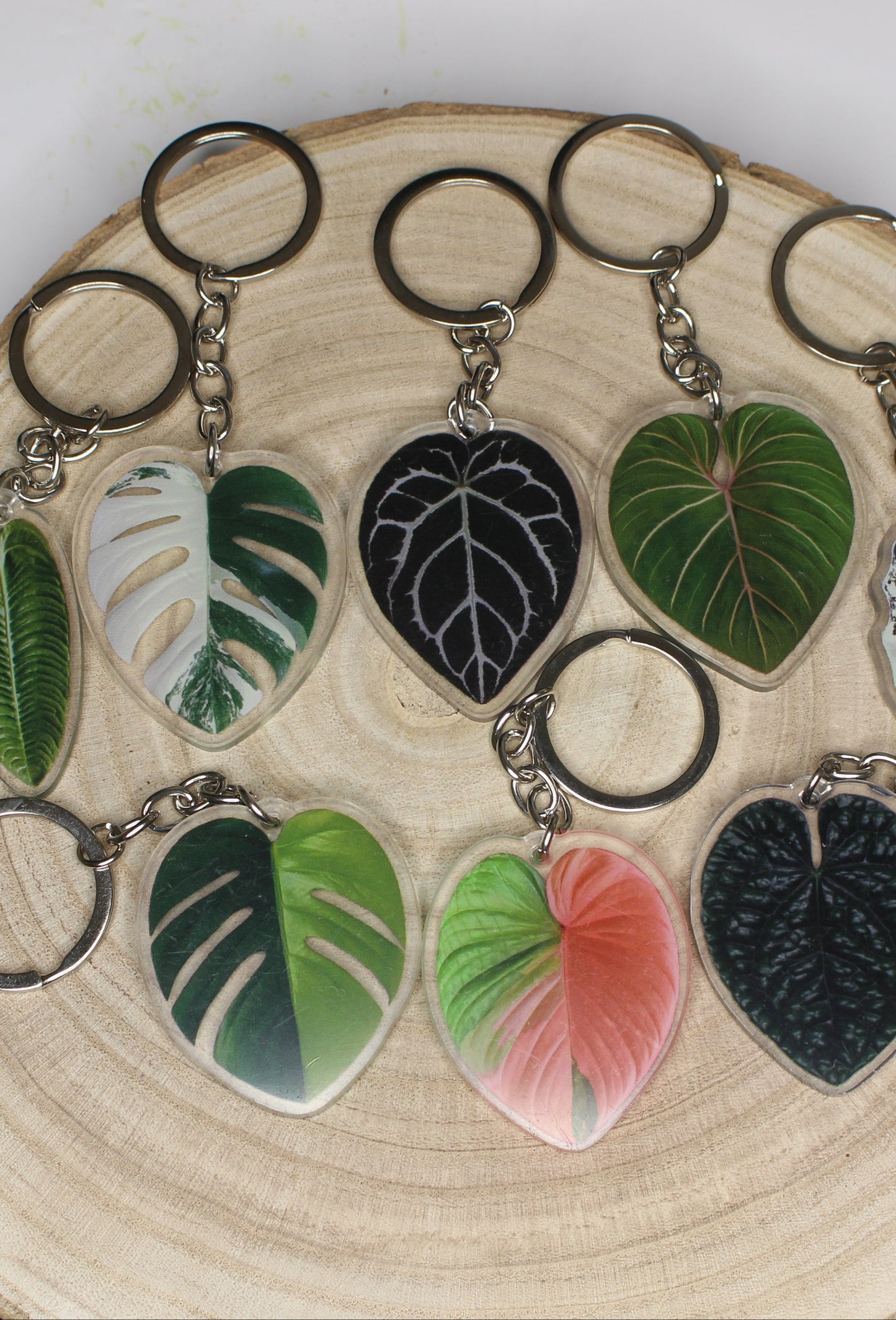 Llaveros plantas de colección