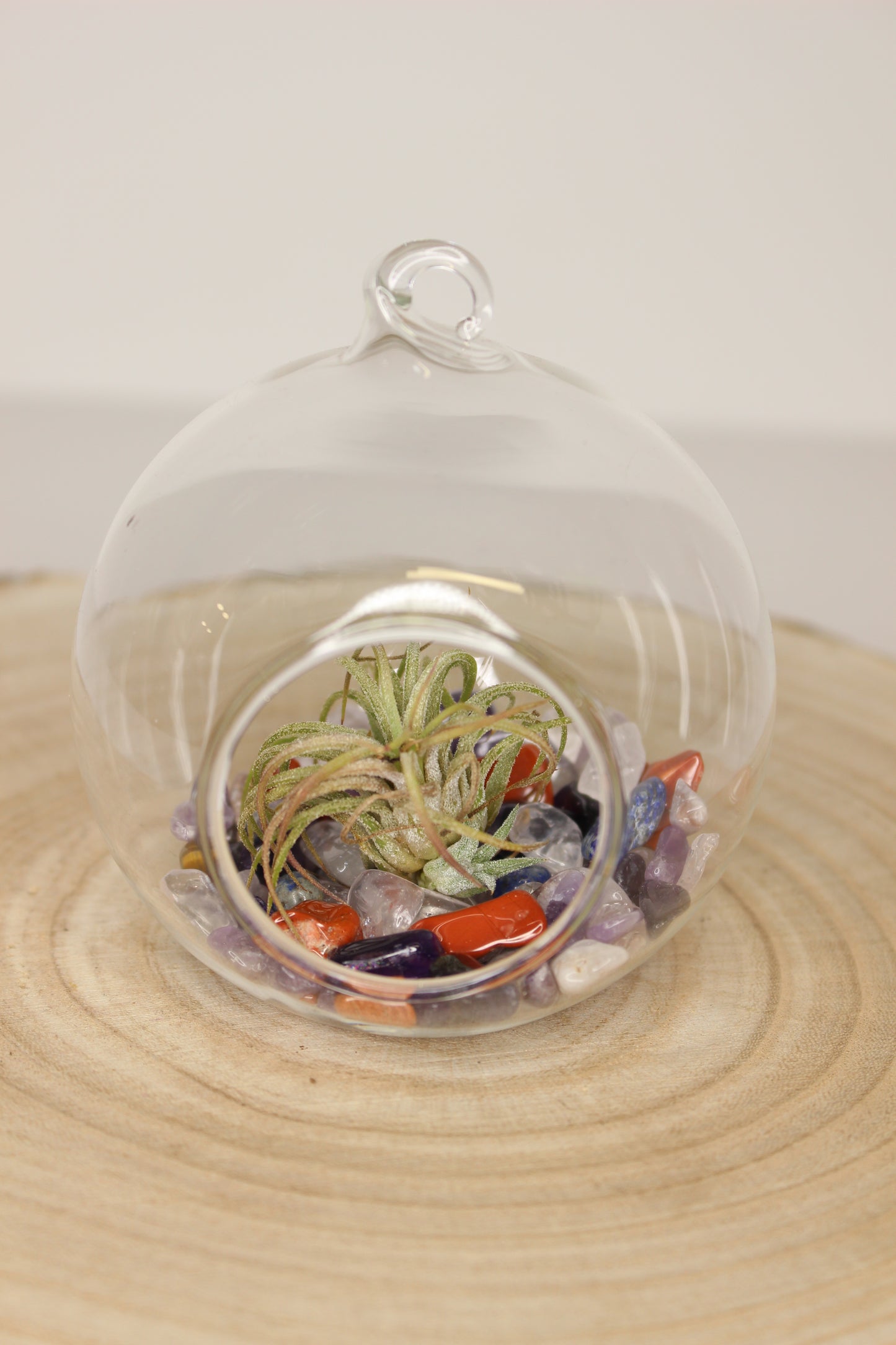 Tillandsia Terrario Minerales Colgante