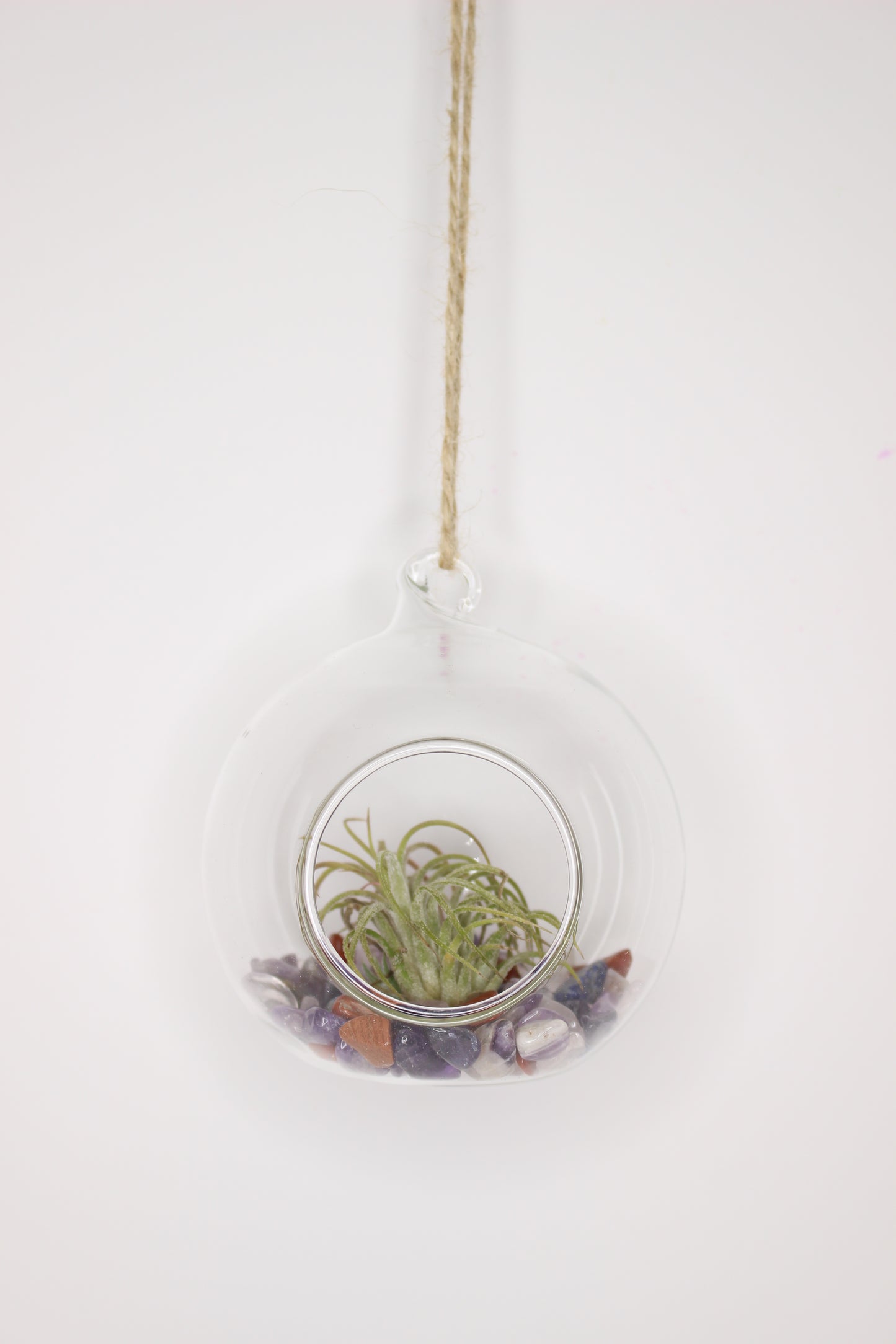 Tillandsia Terrario Minerales Colgante