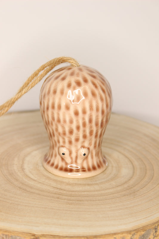 Tillandsia Soporte Colgar Pulpo