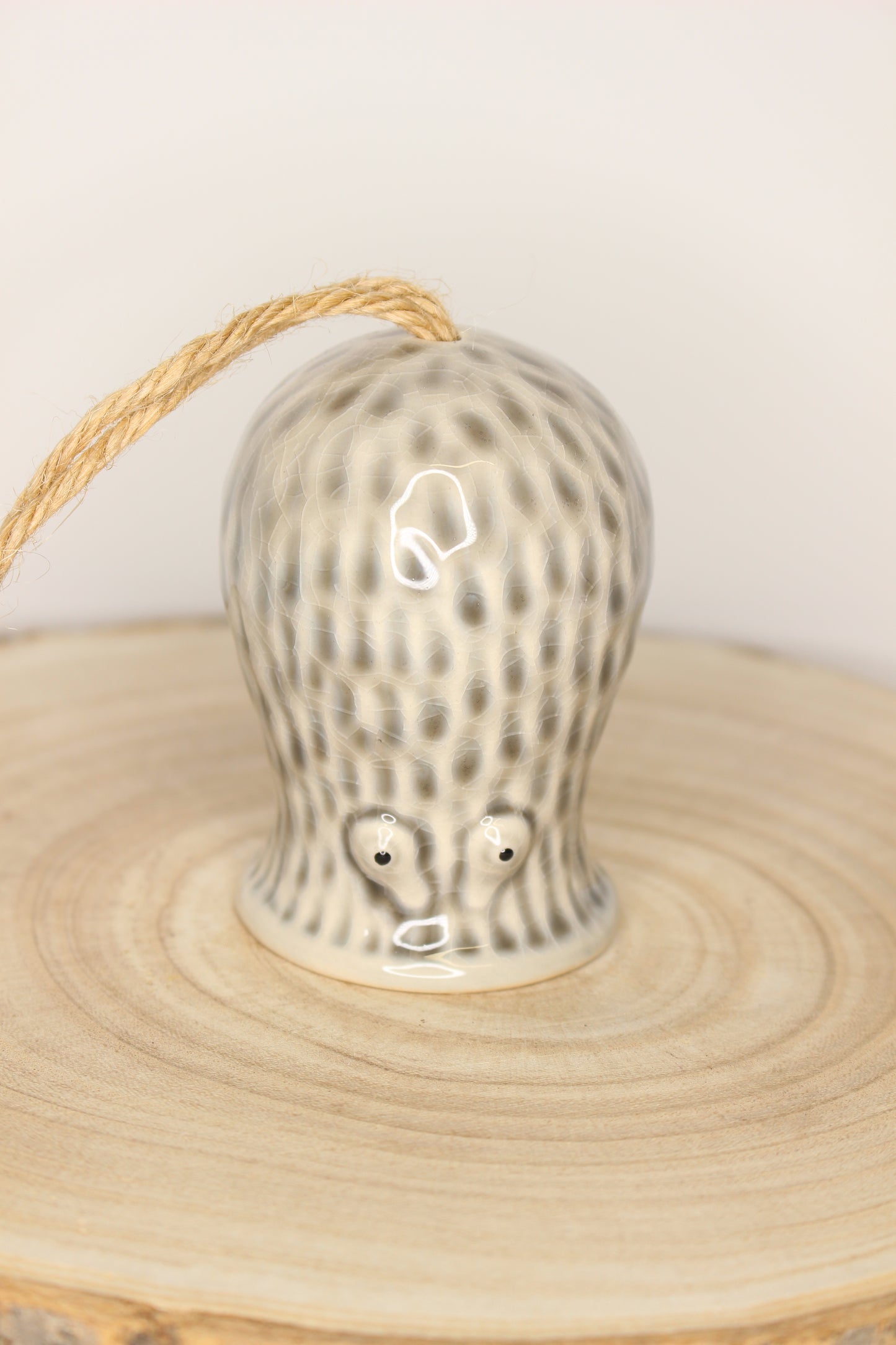 Tillandsia Soporte Colgar Pulpo