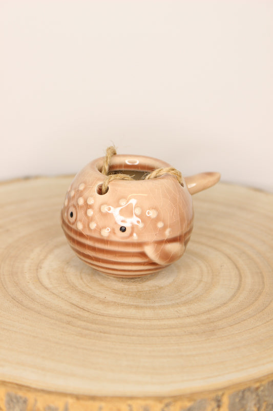 Tillandsia Soporte Colgar Ballena