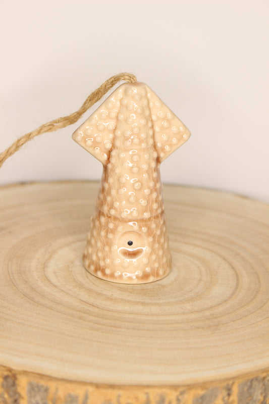 Tillandsia Soporte Colgar Calamar