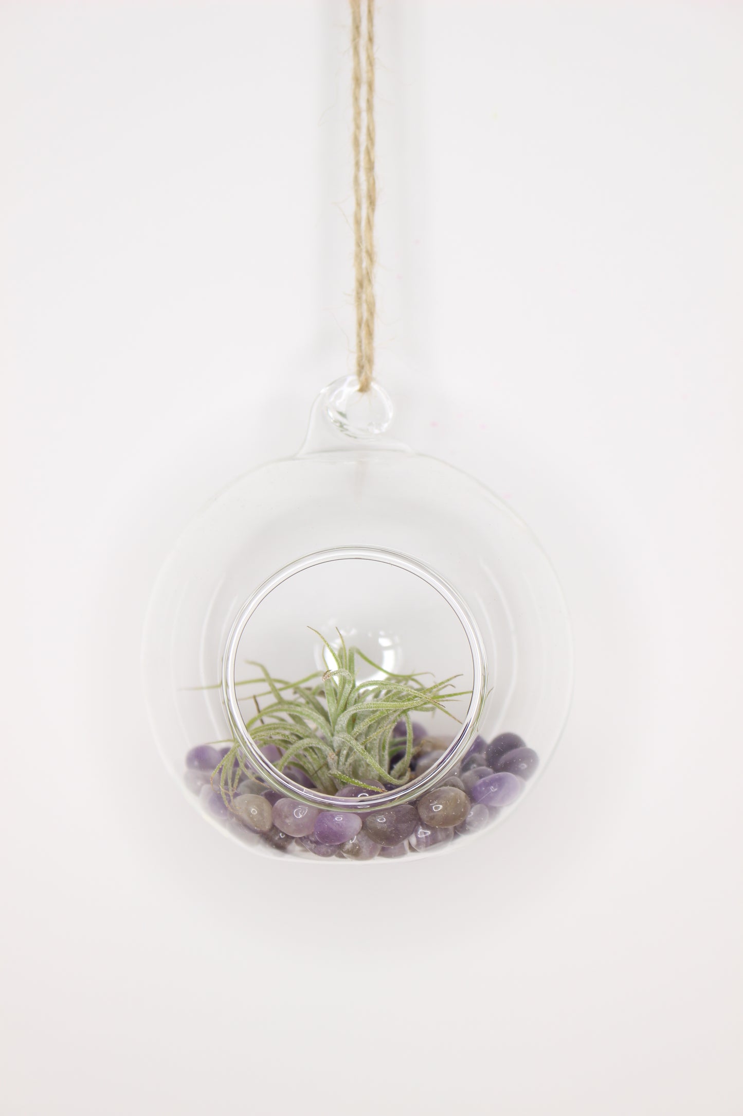 Tillandsia Terrario Minerales Colgante
