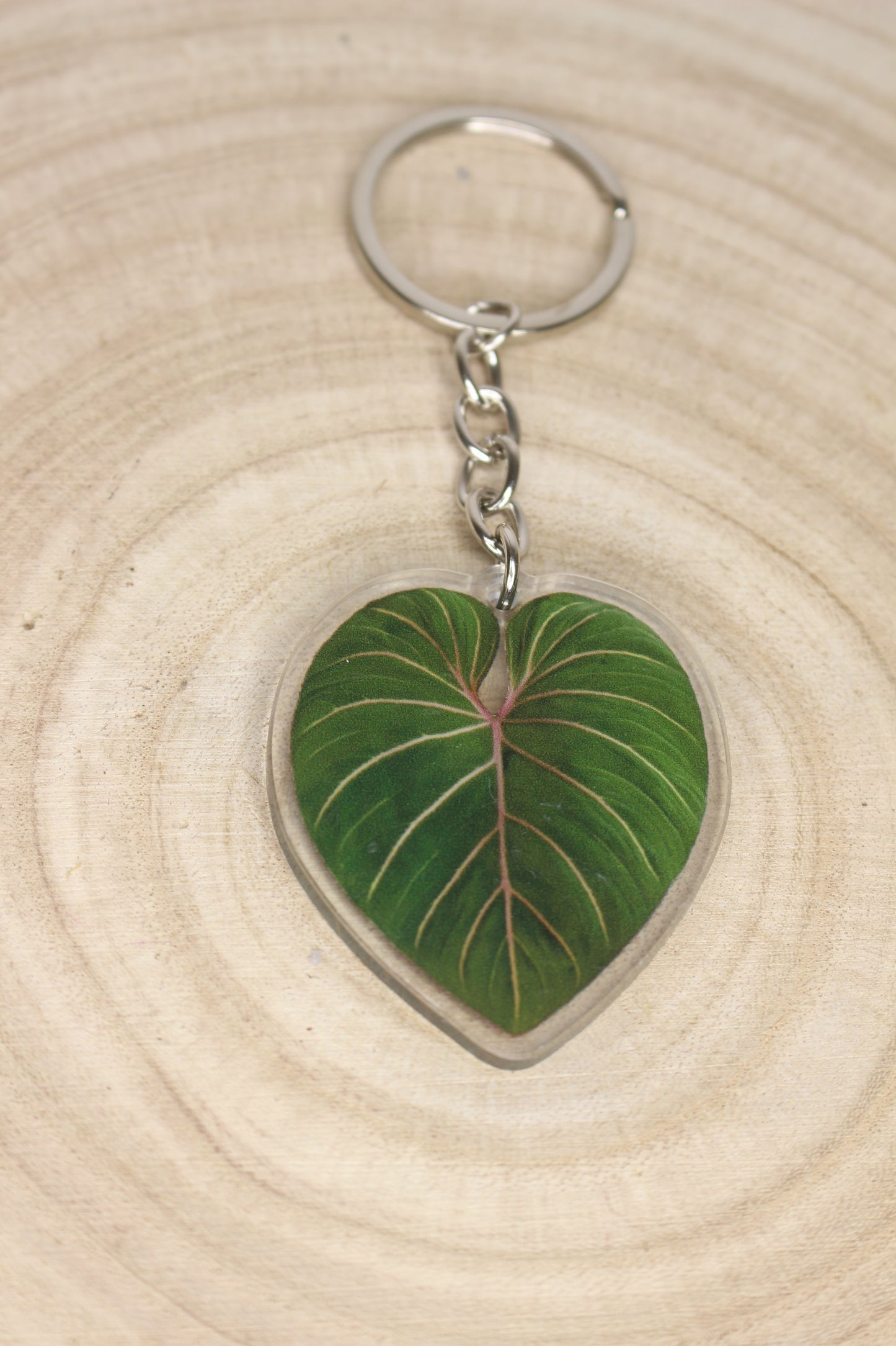 Llaveros plantas de colección