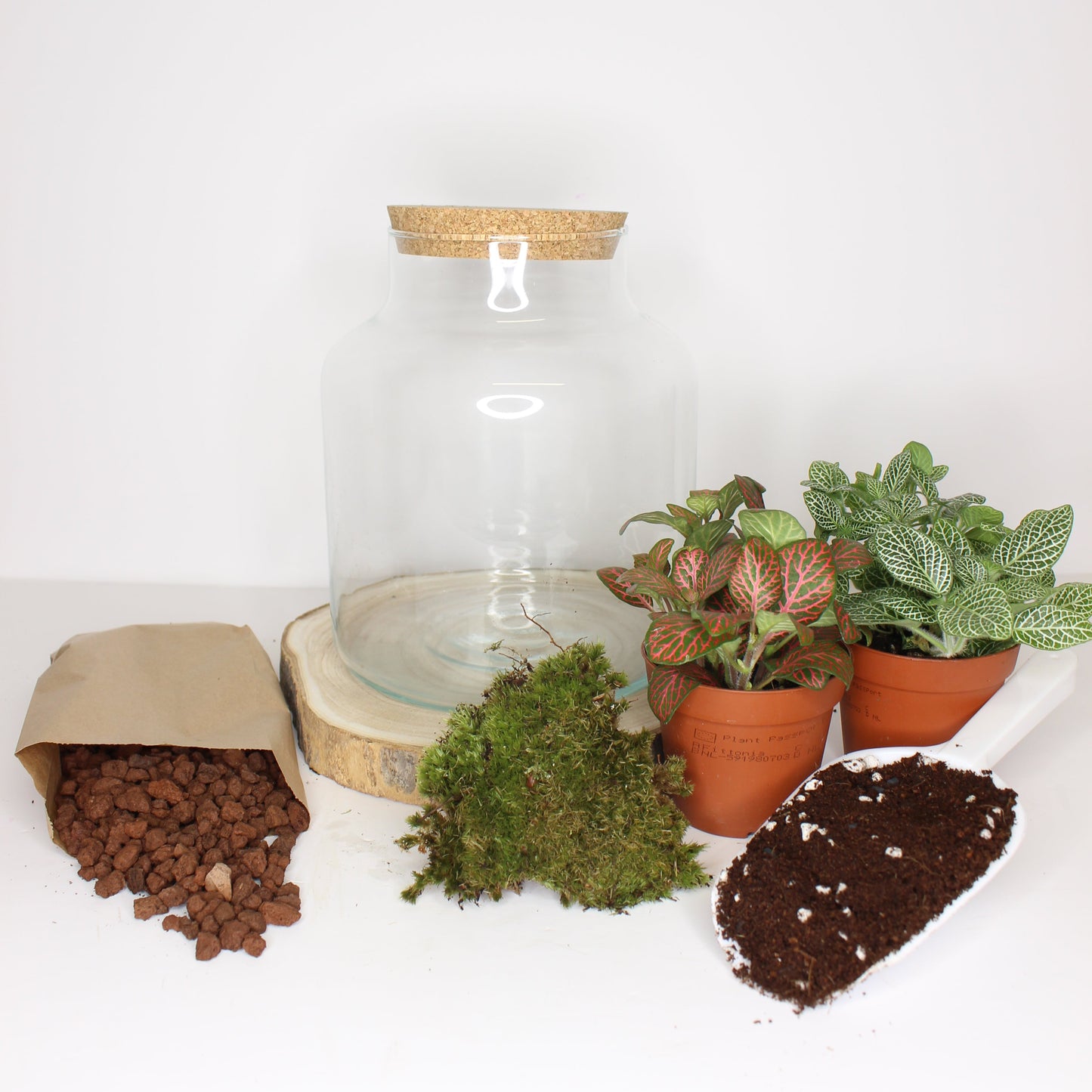 Terrario Kit M