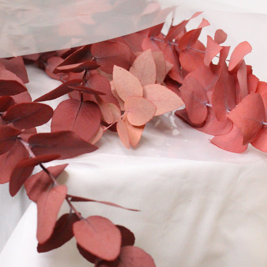 Eucaliptus Stuartiana Rojo Preservado