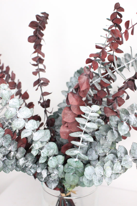 Eucaliptus Baby Otoñal Ramo Preservado