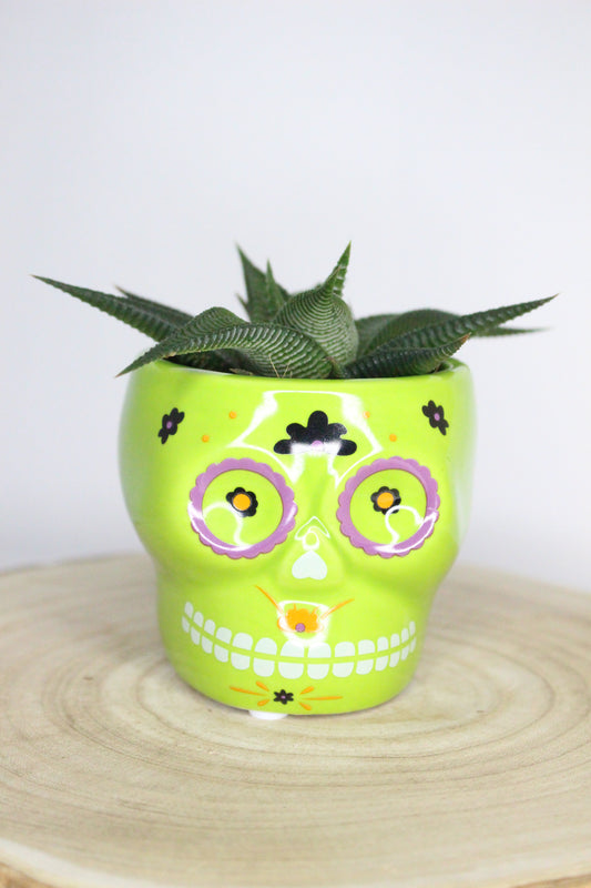 Macetero Calavera Mexicana Verde