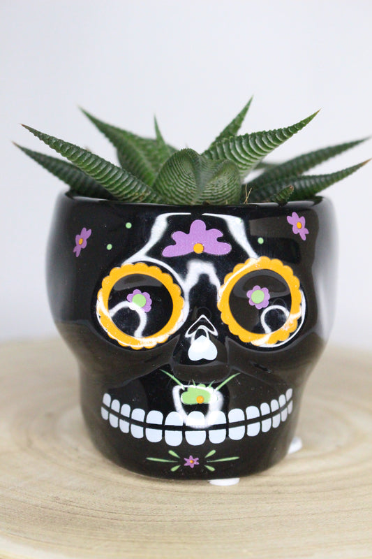 Macetero Calavera Mexicana Negra