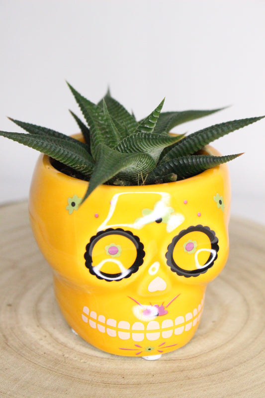 Macetero Calavera Mexicana Naranja