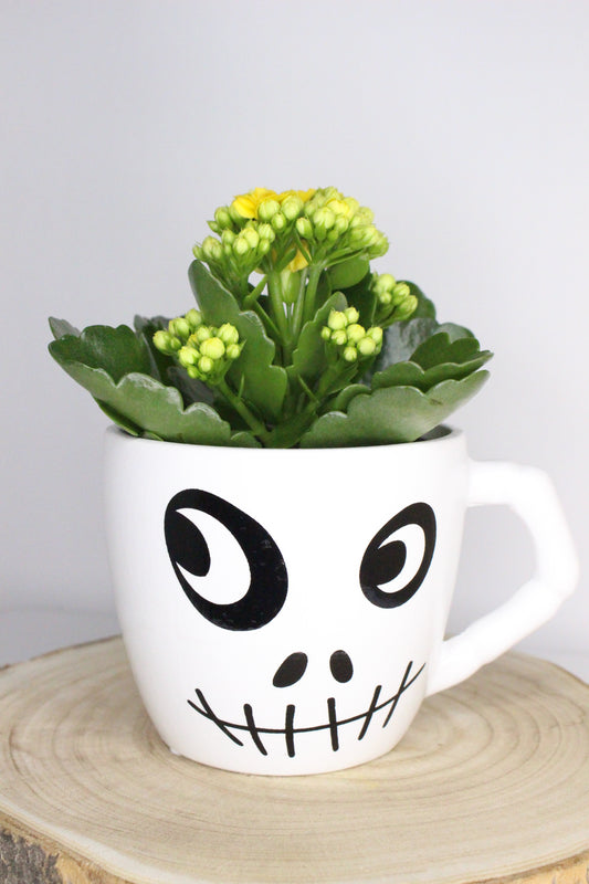 Macetero Taza Esqueleto
