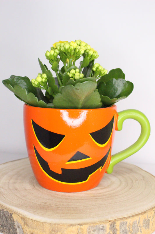 Macetero Taza Calabaza