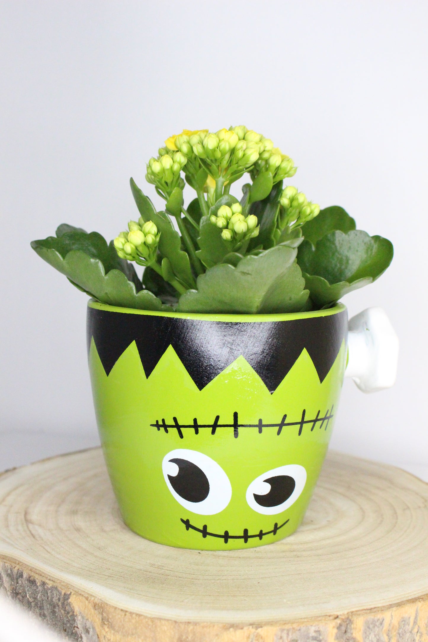 Macetero Taza Frankstein