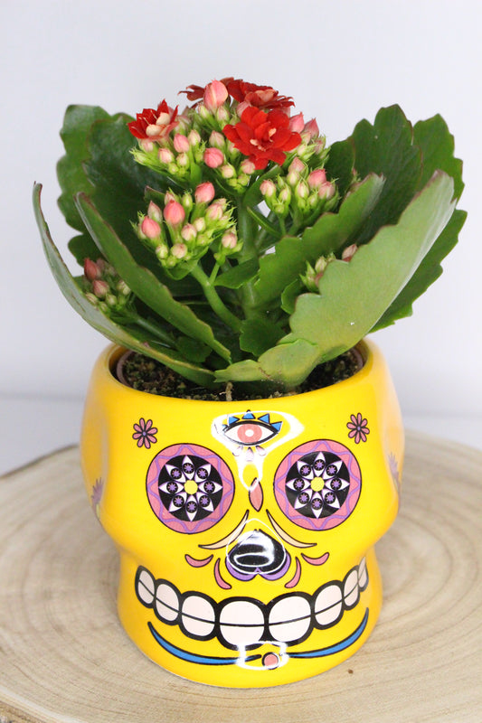 Macetero Calavera Mexicana Amarillo L