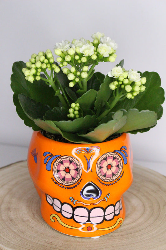 Macetero Calavera Mexicana Naranja L