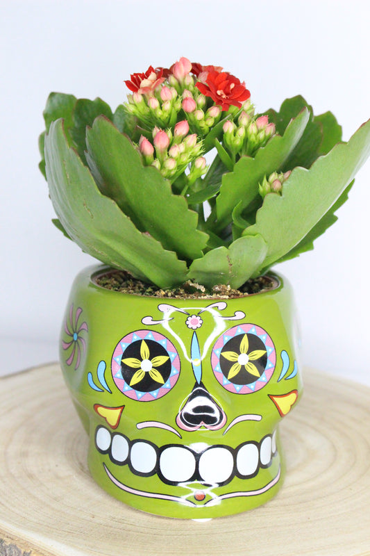 Macetero Calavera Mexicana Verde L