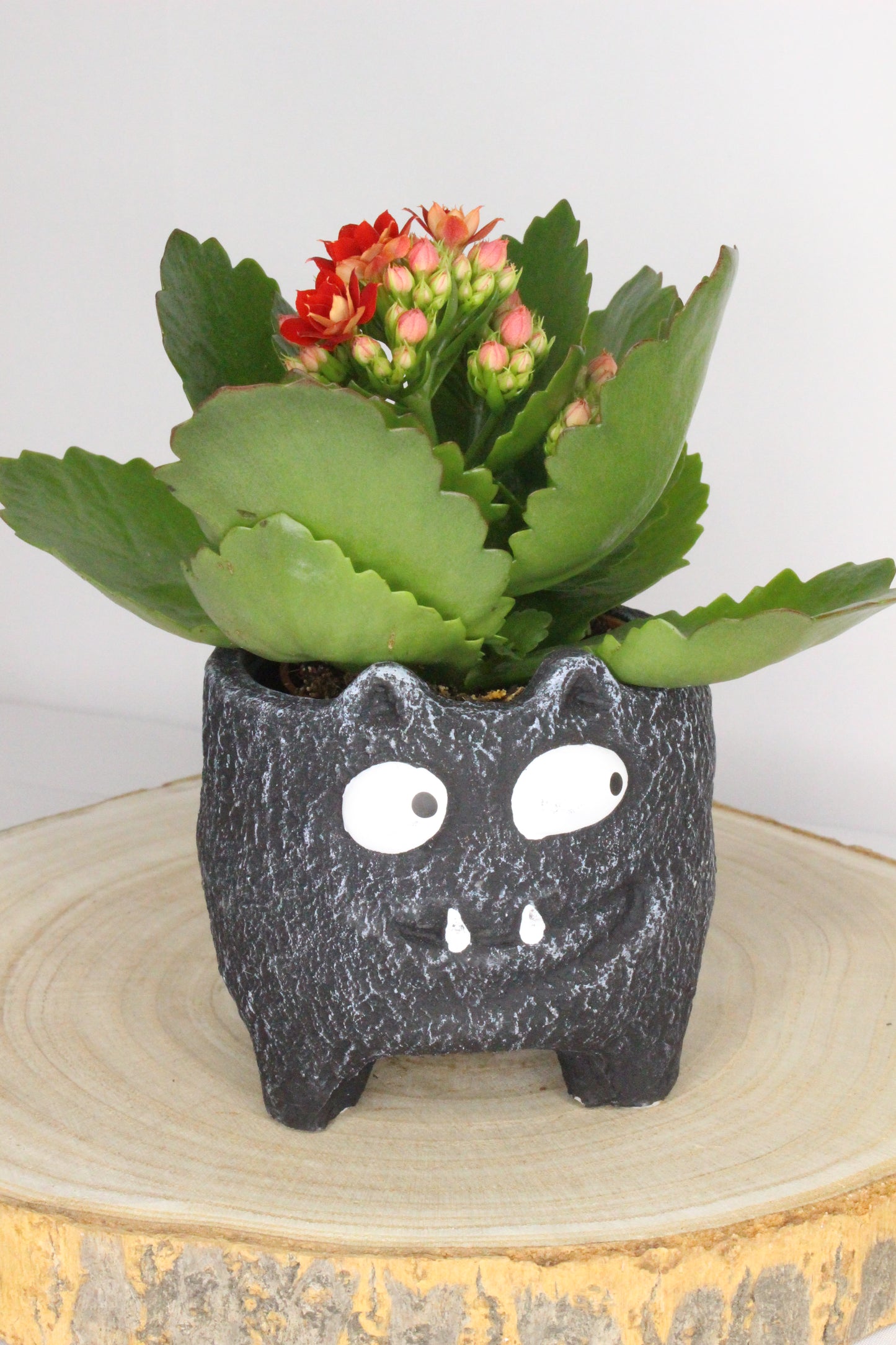 Maceta Monstruito Negro