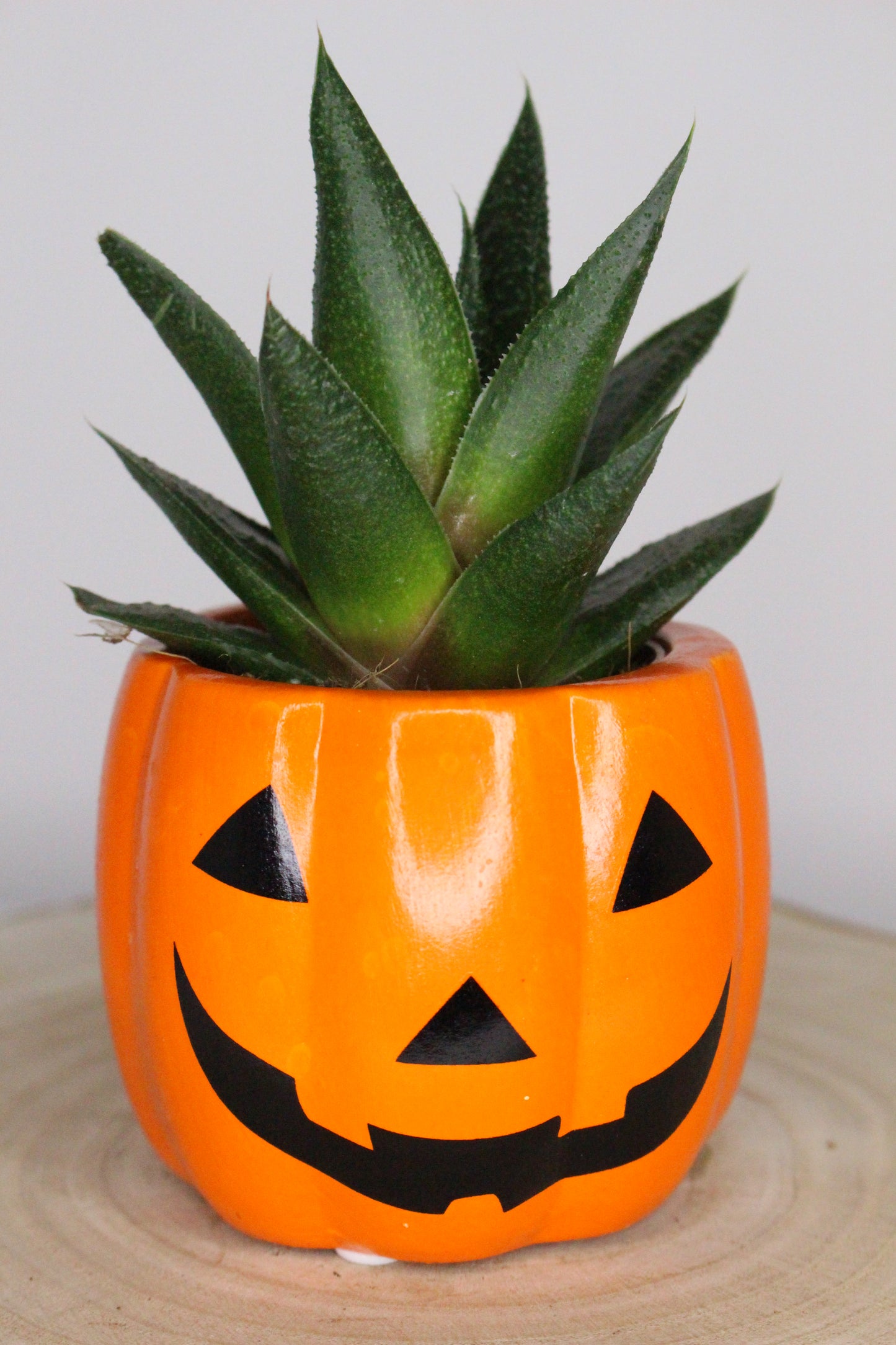 Macetero Calabaza
