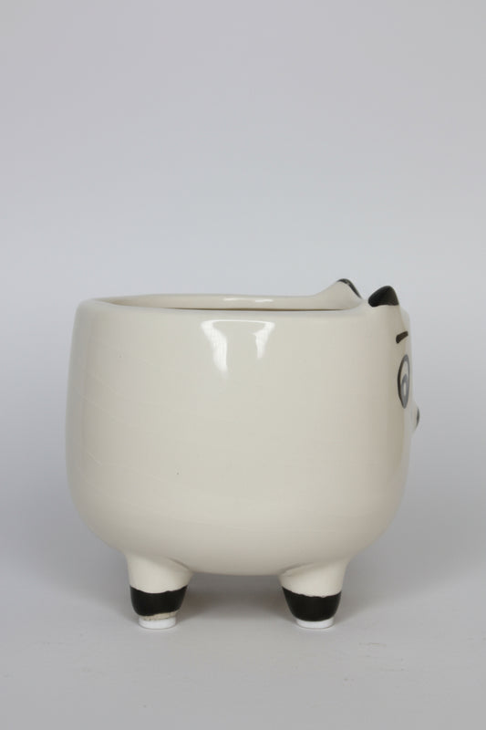 Macetero Mini Perrito