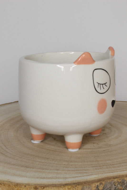 Macetero Mini Gato