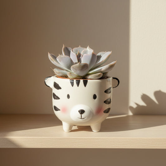 macetero-tigre-para-plantas