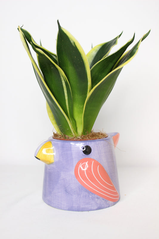 Macetero Mini Pajarito Lila