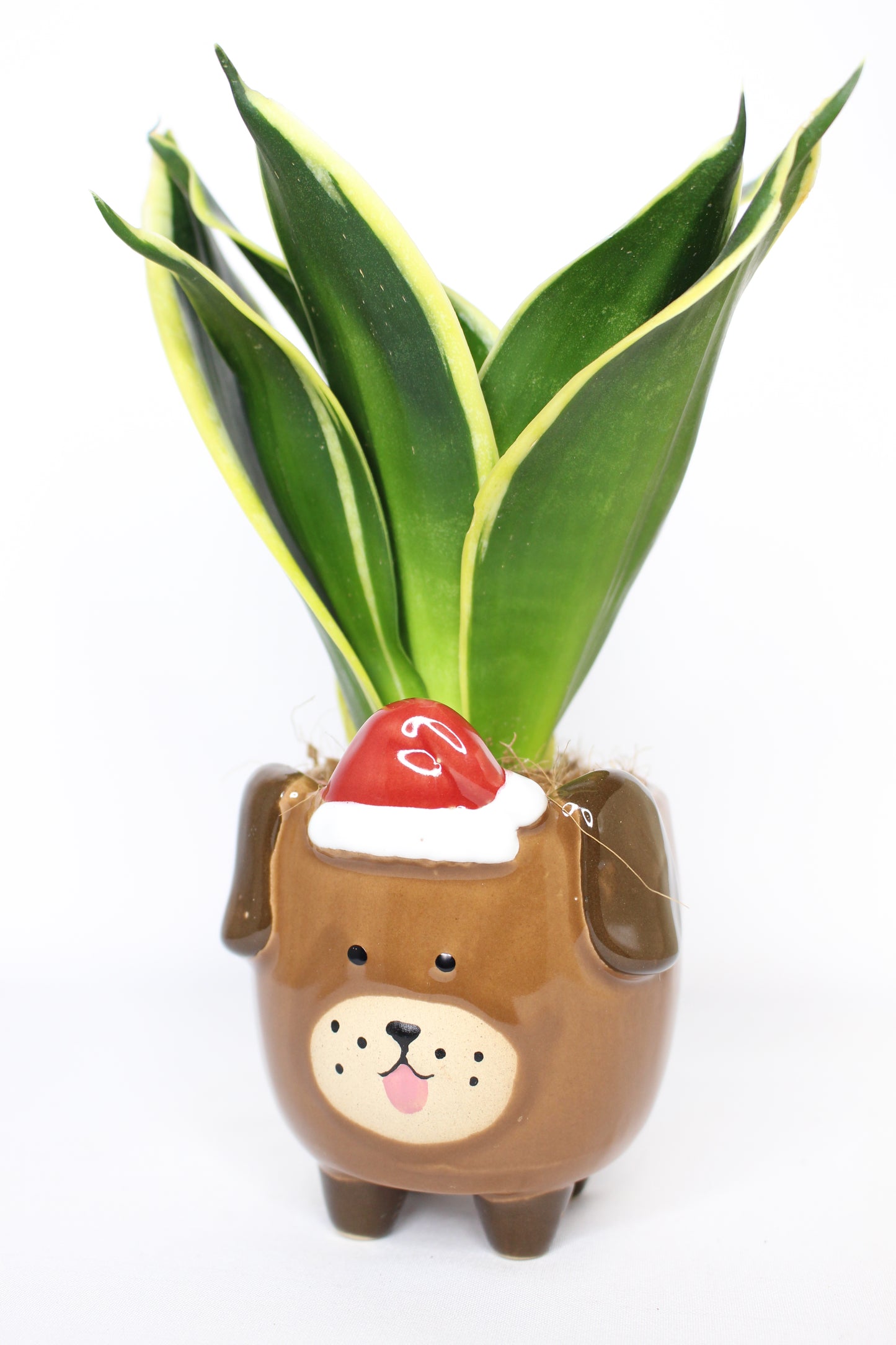 Macetero Mini Navideño Perrito