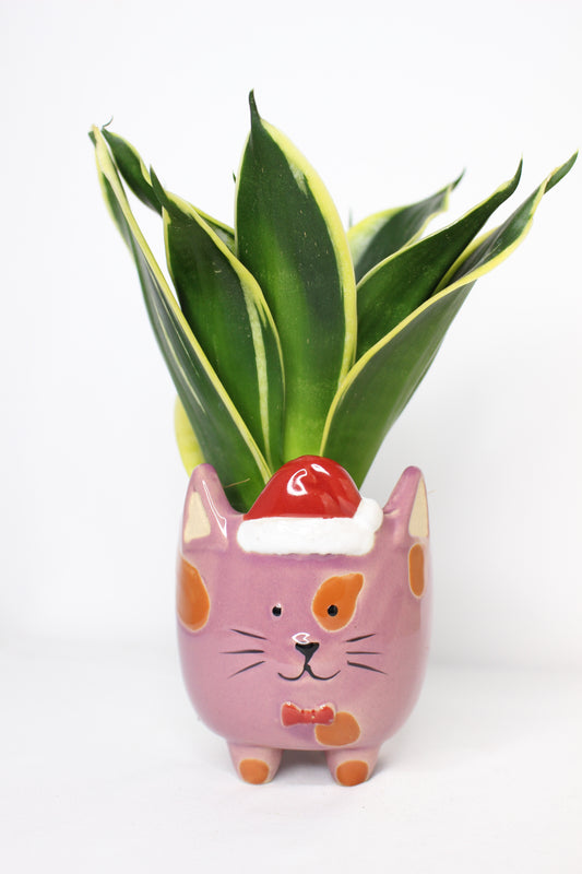 Macetero Mini Navideño Gato Rosa