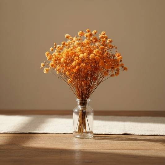 paniculata-naranja-ramillete