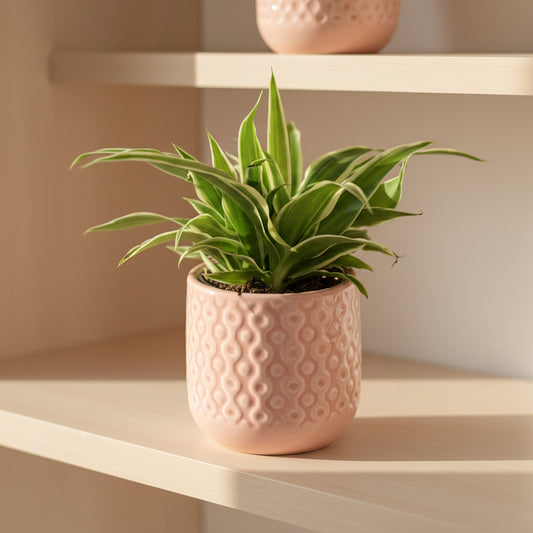 macetero-rosa-decorativo-plantasmacetero-rosa-decorativo-plantas