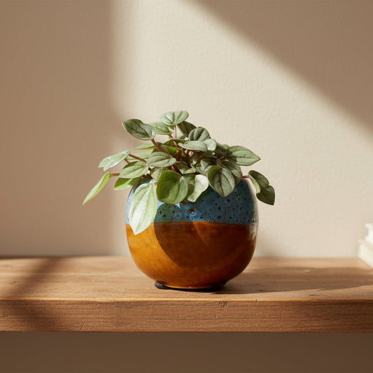 macetero-japon-ceramica