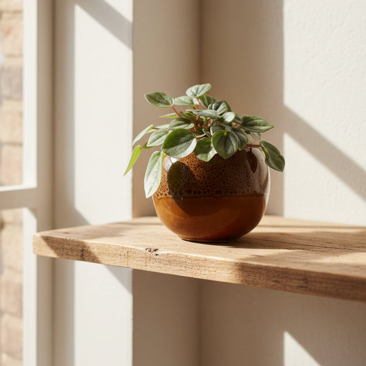 macetero-japon-ceramica