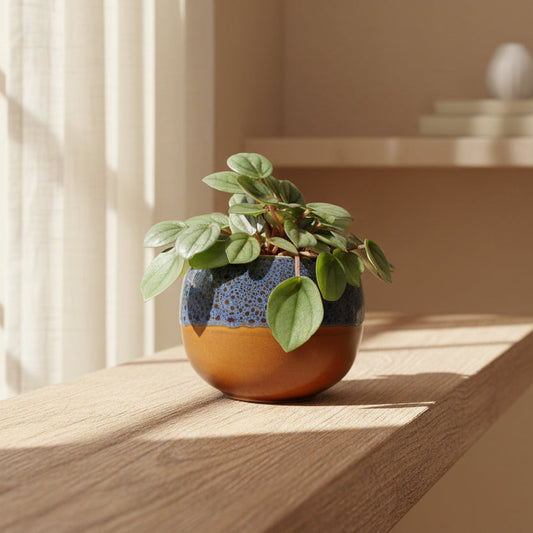 macetero-japon-ceramica