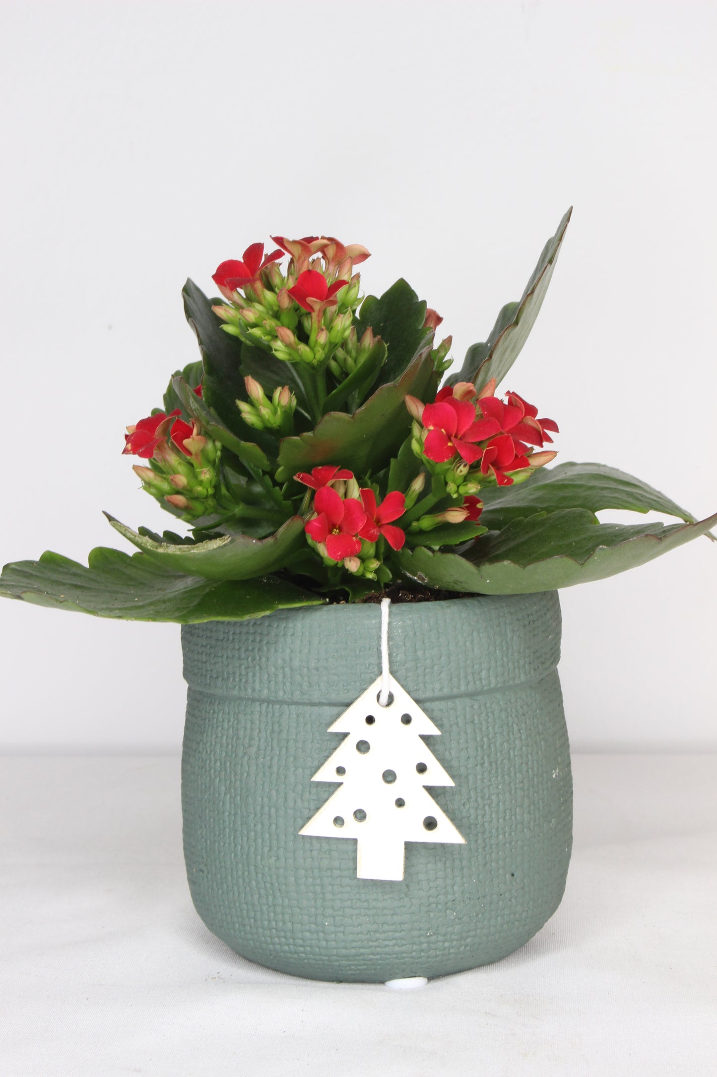 Macetero Navideño Verde Árbol