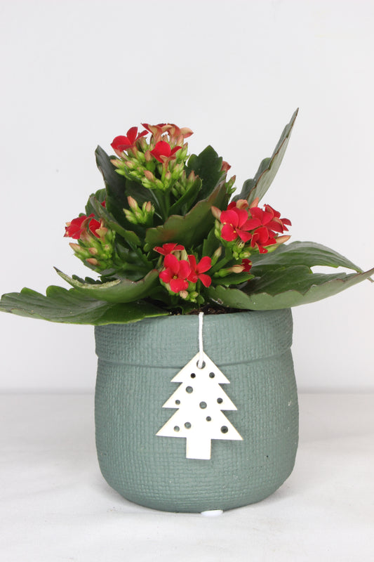 Macetero Navideño Verde Árbol