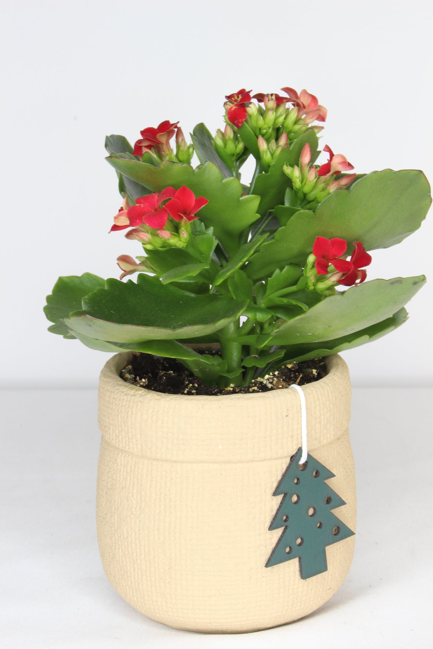 Macetero Navideño Beig Árbol