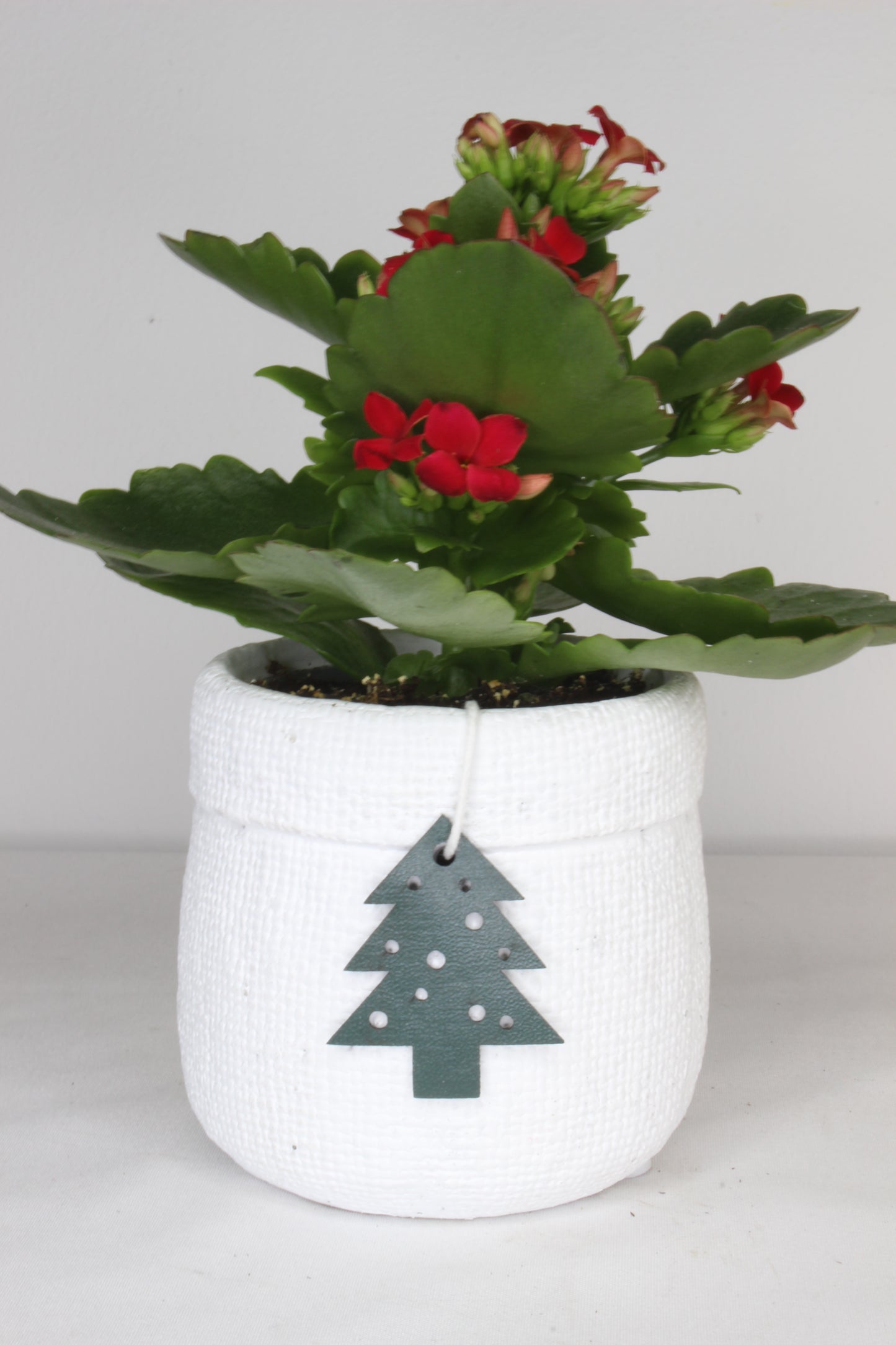 Macetero Navideño Blanco Árbol