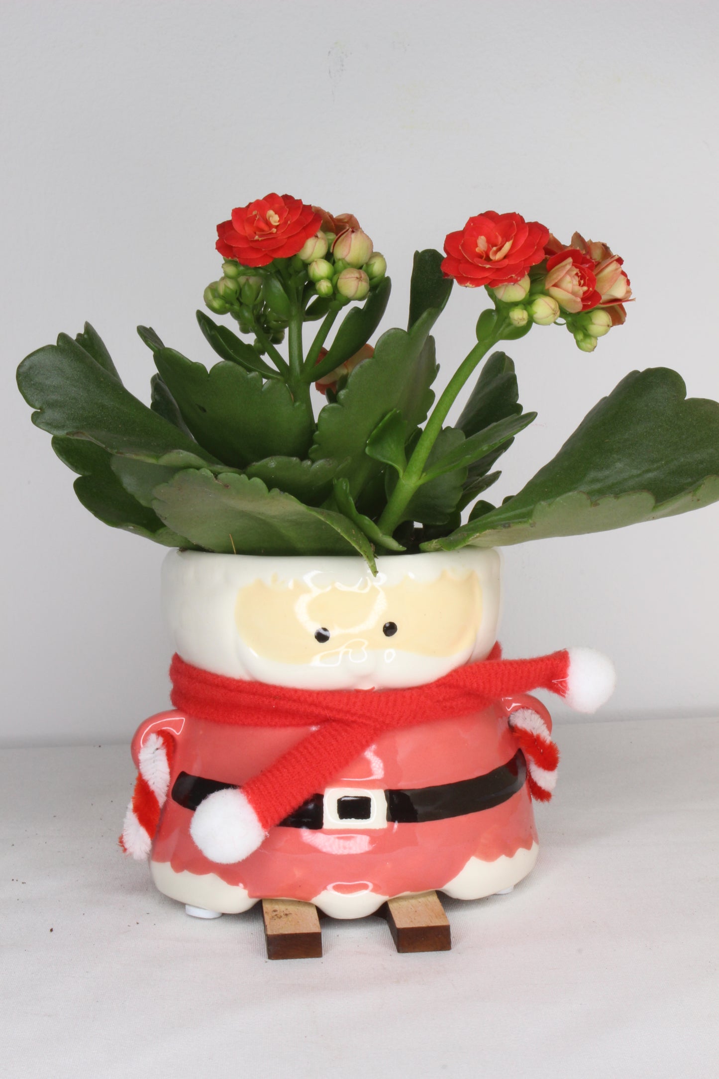 Macetero Esquí Papa Noel Rojo