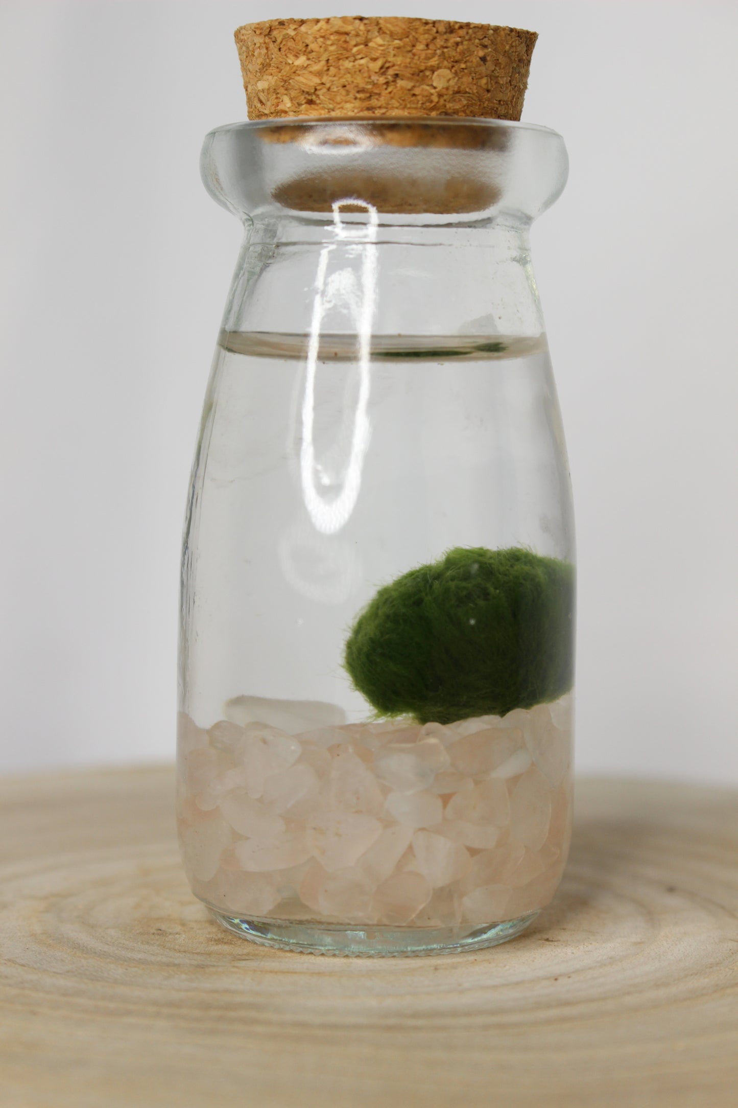 Marimo Mini Akan Cuarzo Rosa