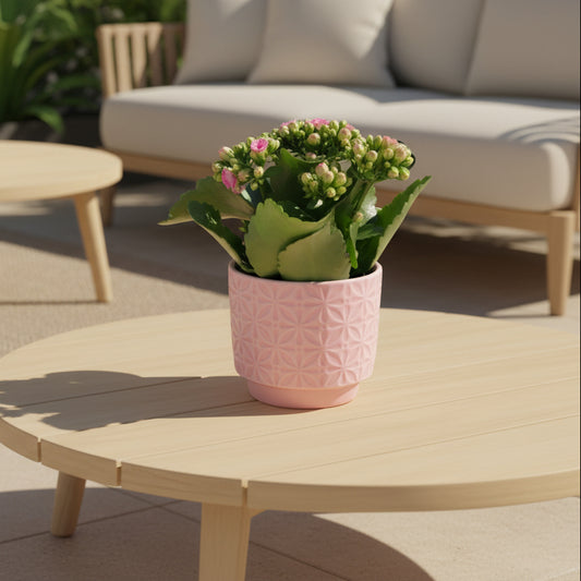 Macetero Flores Rosa