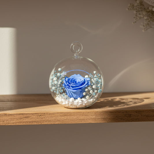 cupula-paniculata-preservada